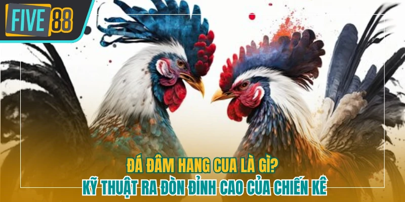 Đá đâm hang cua là gì