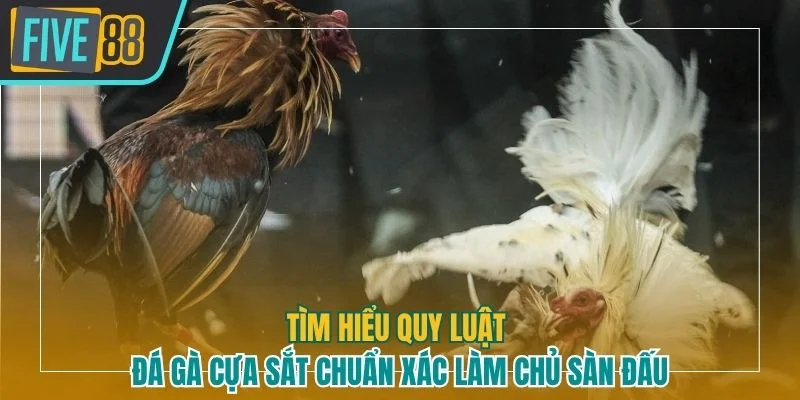 Đá gà cựa sắt