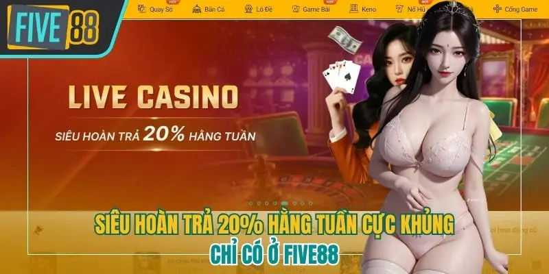 Siêu hoàn trả 20% hằng tuần